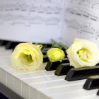 札幌市のピアノ教室･音楽工房G.M.P the 大楽の評判